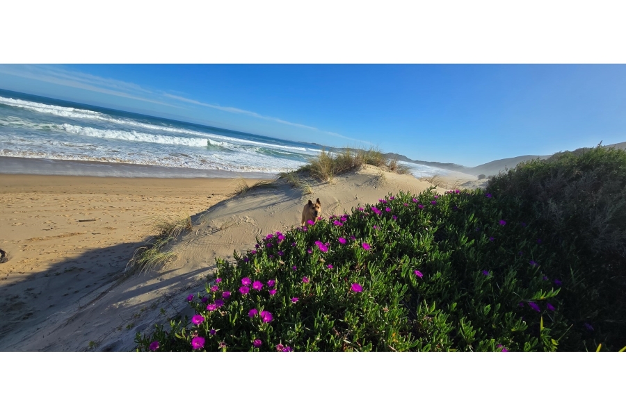 0 Bedroom Property for Sale in Brenton On Sea Western Cape